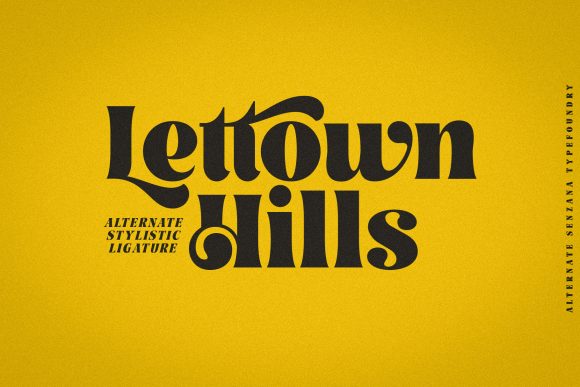 Elevating Brand Narratives with Lettown Hills: A Deep Dive into Modern Typography